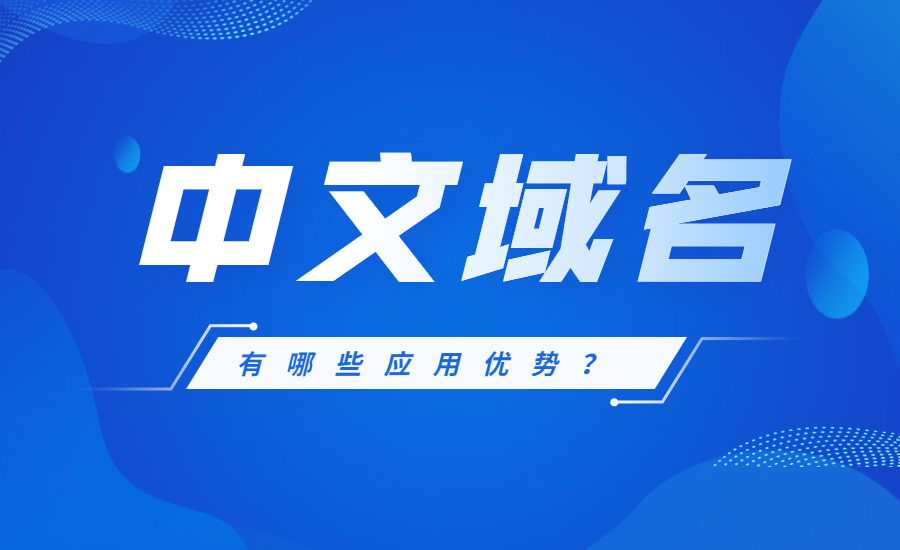 1641976576207625.jpg 中文域名.jpg