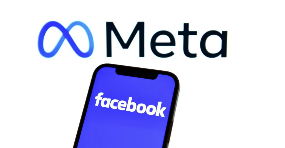 域名仲裁，Facebook，meta