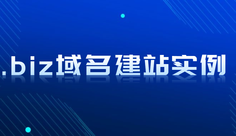 .biz域名建站实例