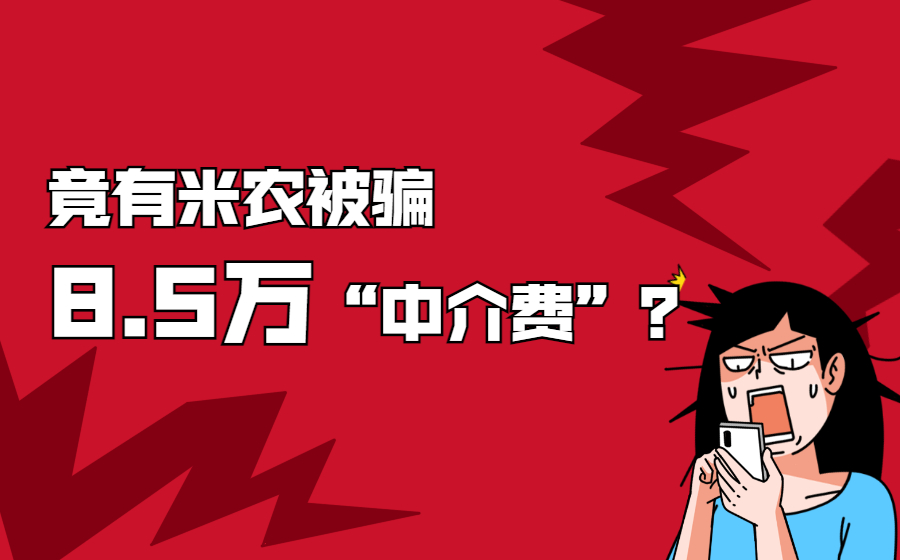 竟有米农被骗了8.5万中介费？来看看是什么情况！