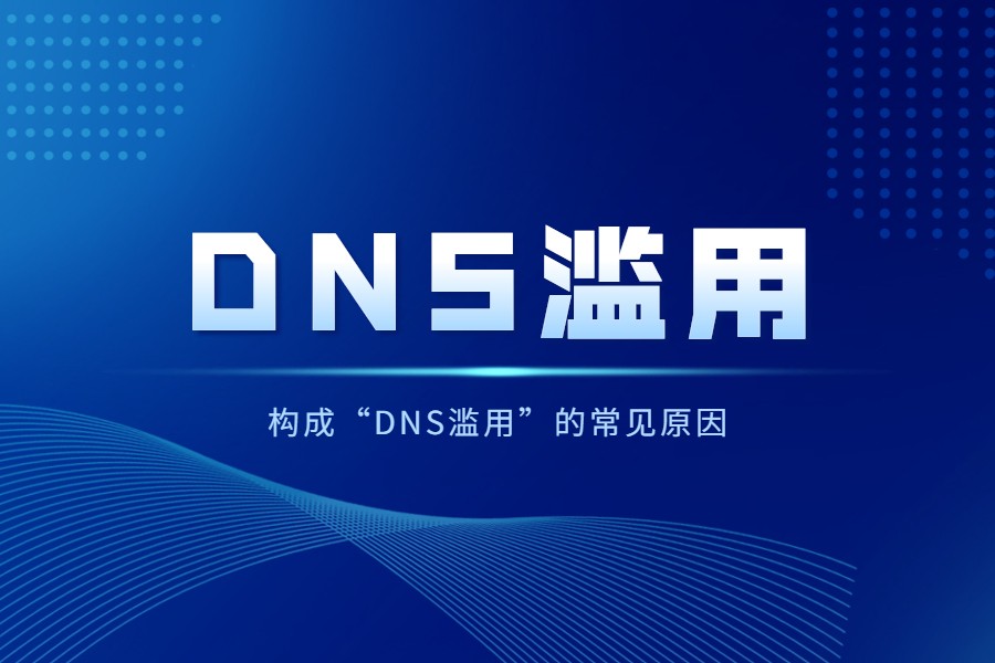 构成“DNS滥用”的常见原因