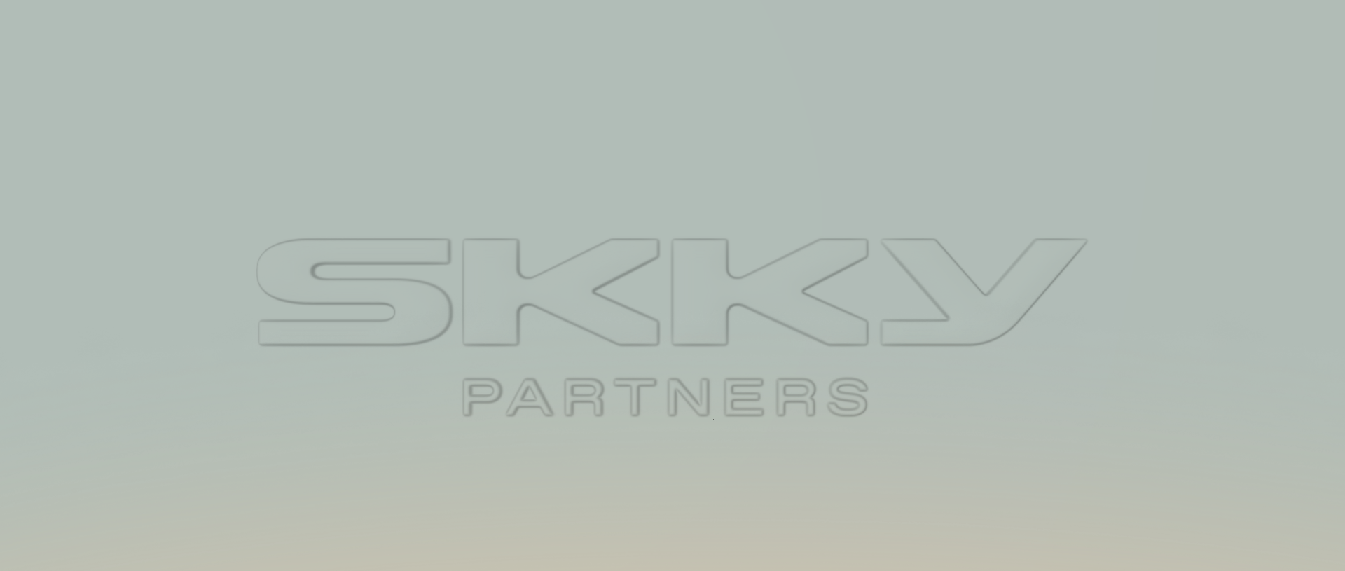 初创公司SKKYPartners向国人收购skky.com