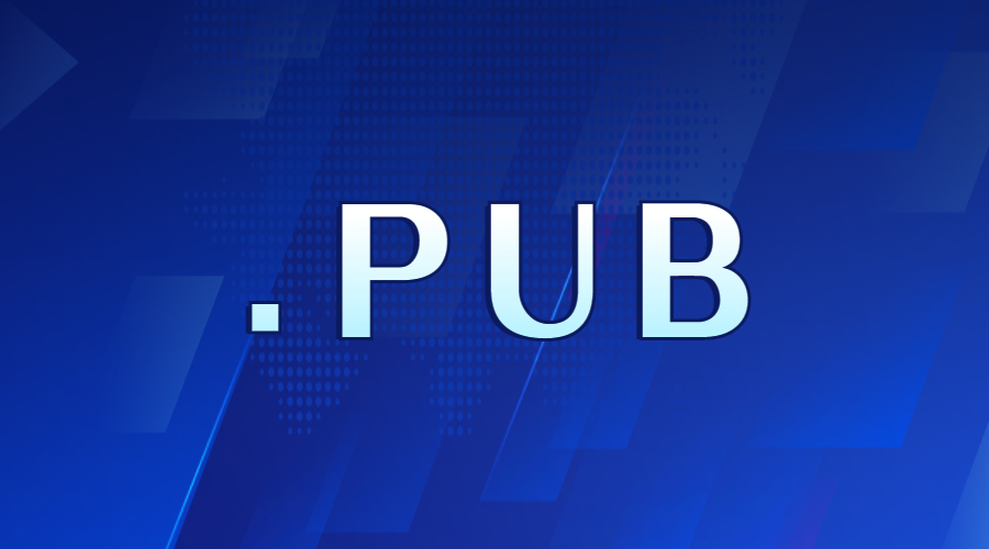 .pub域名如何,可以备案吗?