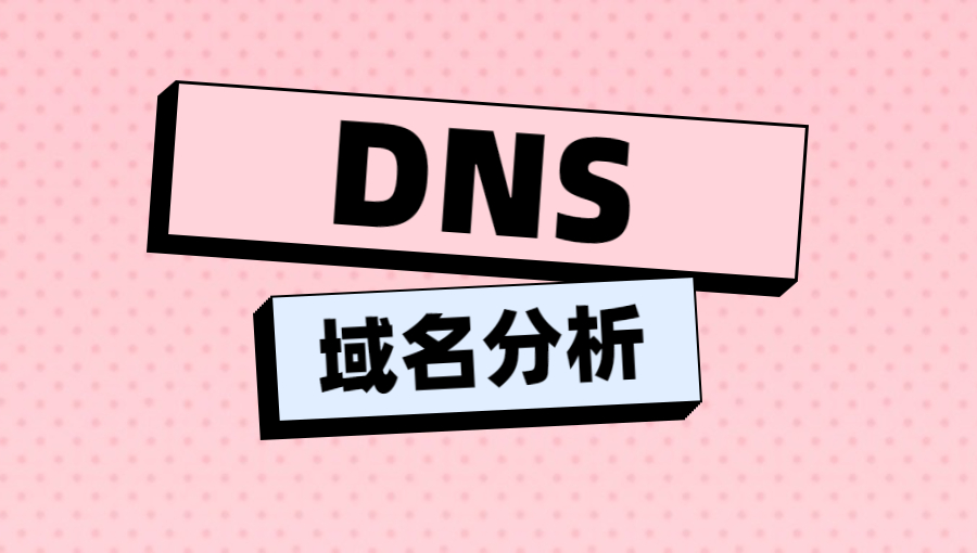 什么叫DNS域名分析，有什么作用？