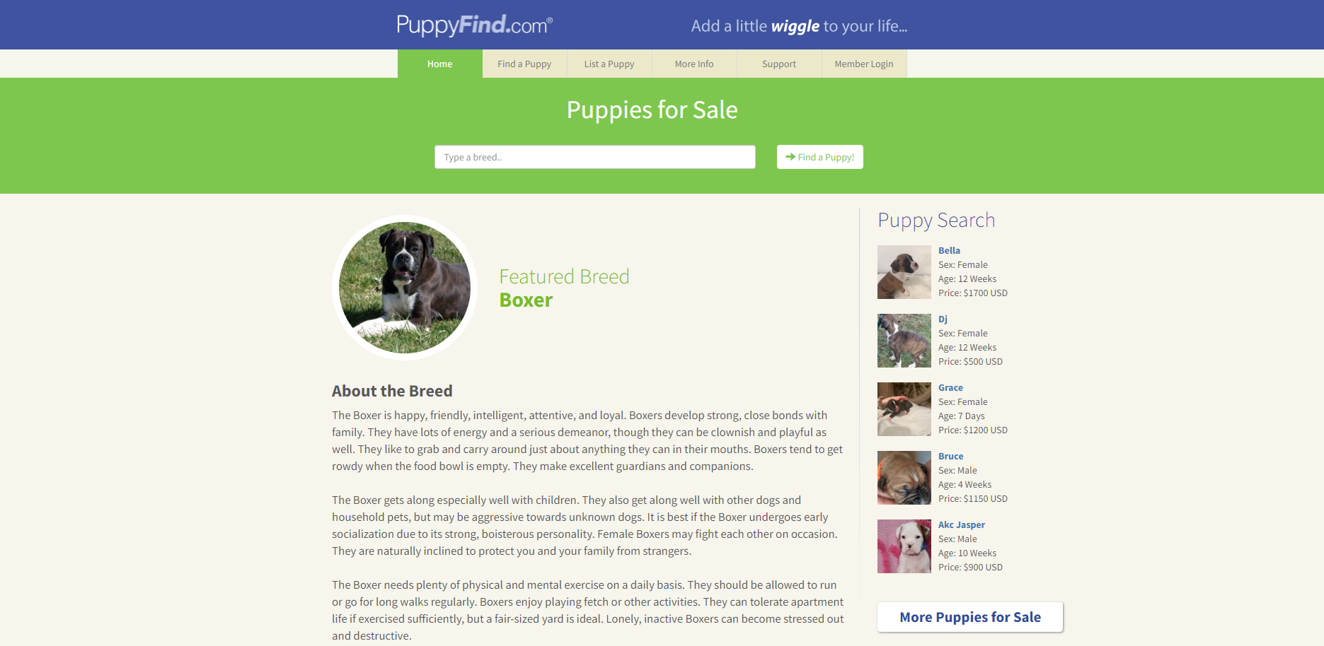 PuppyFind 即将升级为Puppies.com