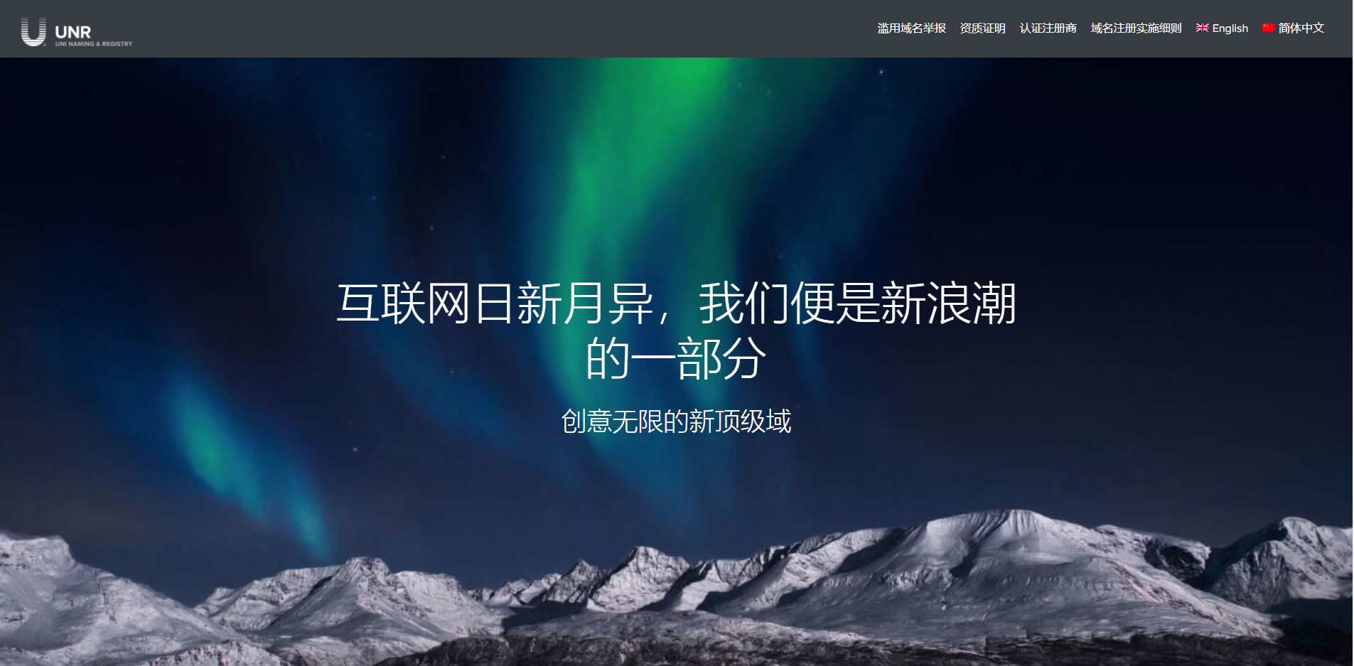 新顶级域名,域名注册,域名管理
