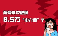 竟有米农被骗了8.5万中介费？来看看是什么情况！