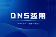 “DNS滥用”是什么意思？