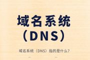 域名系统（DNS）指的是什么？