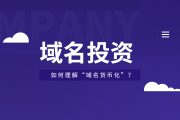 域名投资：如何理解“域名货币化”？