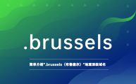 简单介绍“.brussels（布鲁塞尔）”地理顶级域名