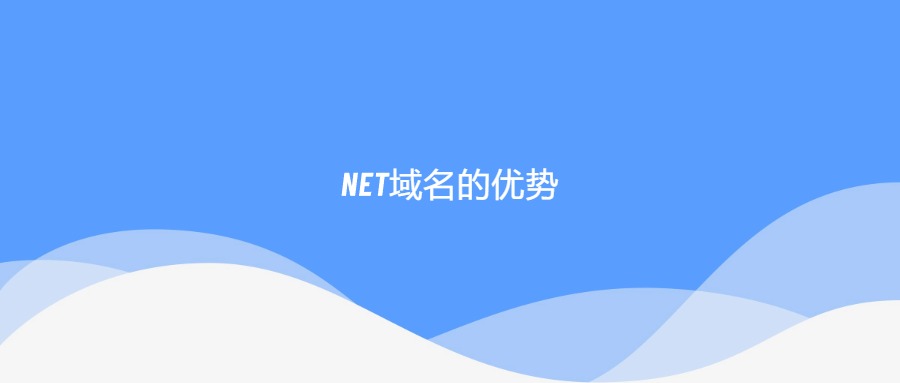 net域名优势
