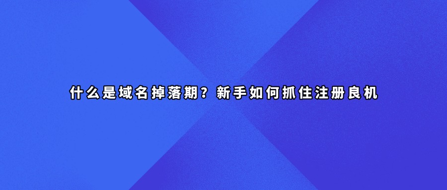 域名周期