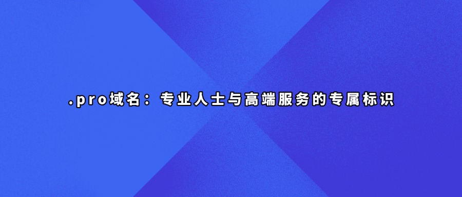 .pro域名:专业人士与高端服务的专属标识
