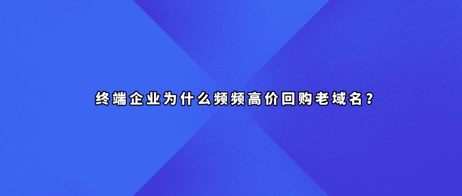 终端域名