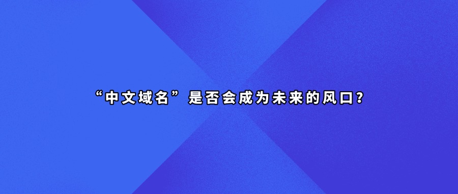 中文域名