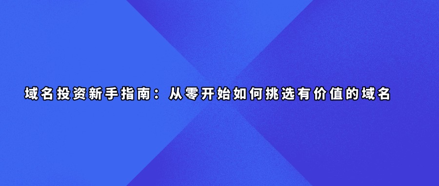 域名投资